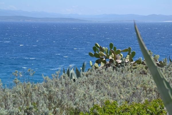 Sardinië algemeen