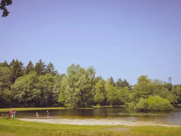 Het meer op Roan camping ' t Veld.
