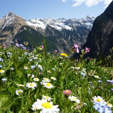 Steiermark met Last minute kortingen